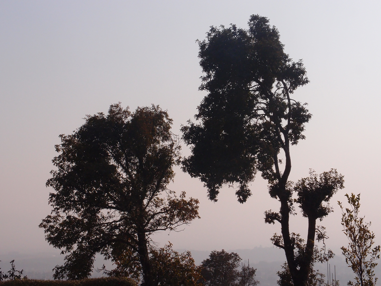 2018-01-22 14 Uhr - Kopan Monastary (Foto) 